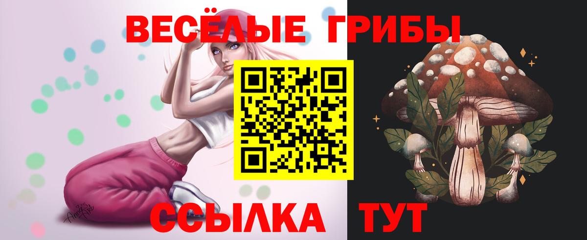 Псилоцибиновые грибы Psilocybine cubensis Химки